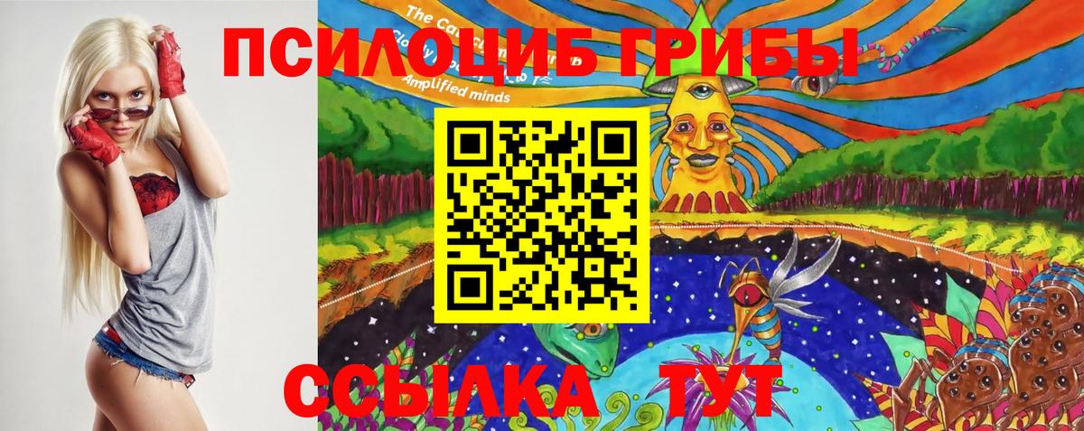Шахты  Псилоцибиновые грибы ЛСД  Вход с VPN 